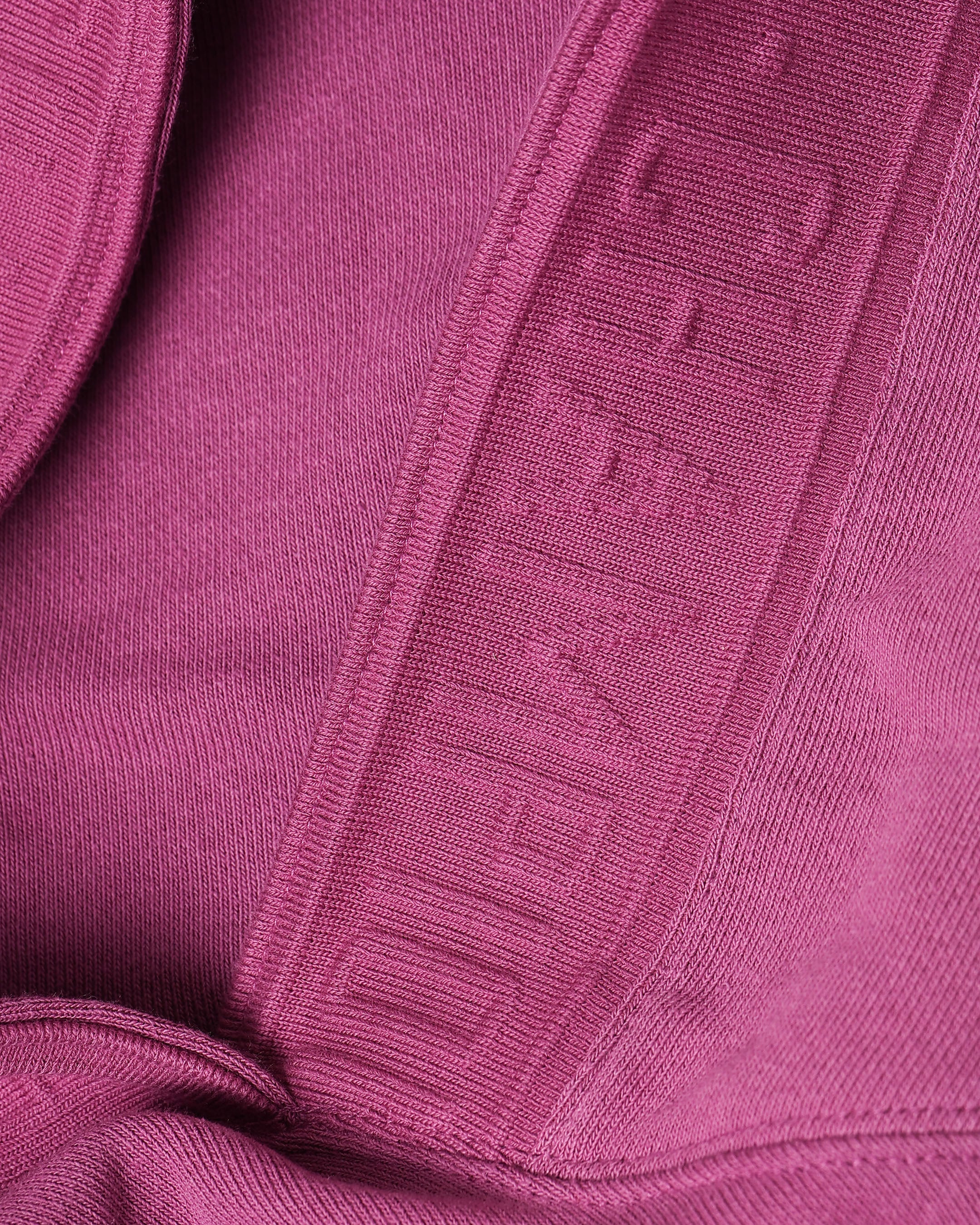 Champion Reverse Weave Terry Tape Hoodie Berry - Image 8