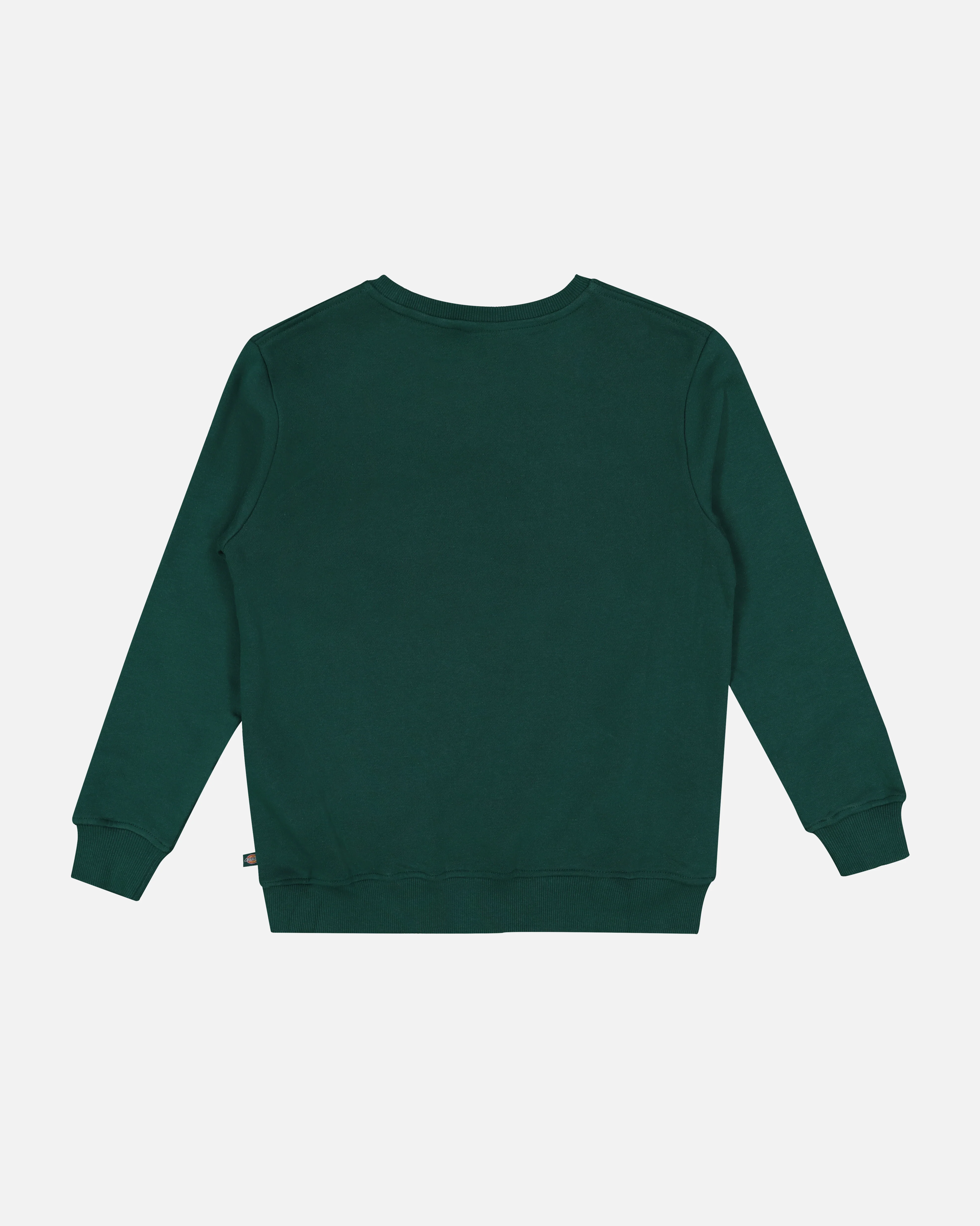 Dickies Kid's Longview Crewneck Spruce Green - Image 3