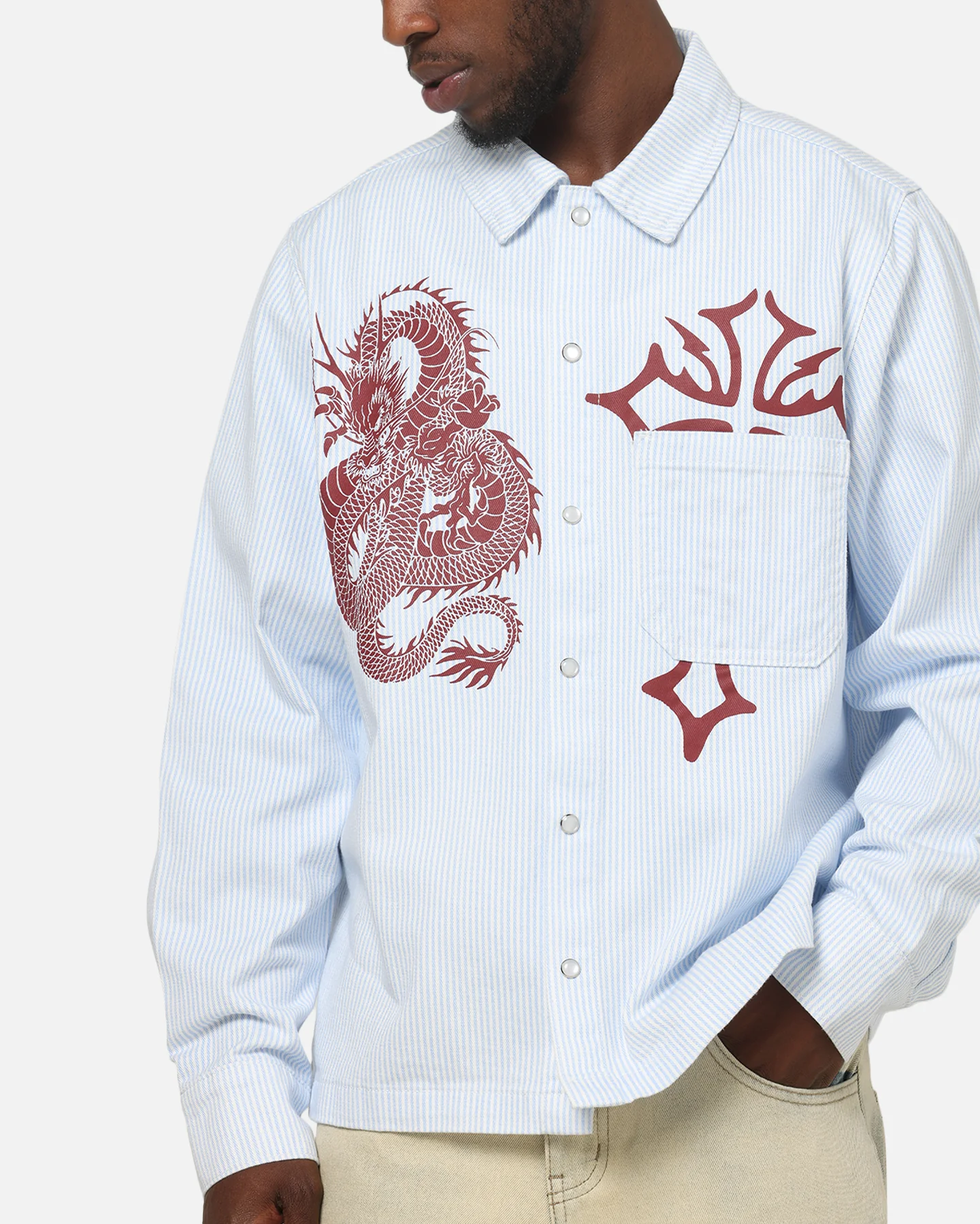 Ed Hardy Euro Button Up Shirt Blue Pinstripe - Image 7