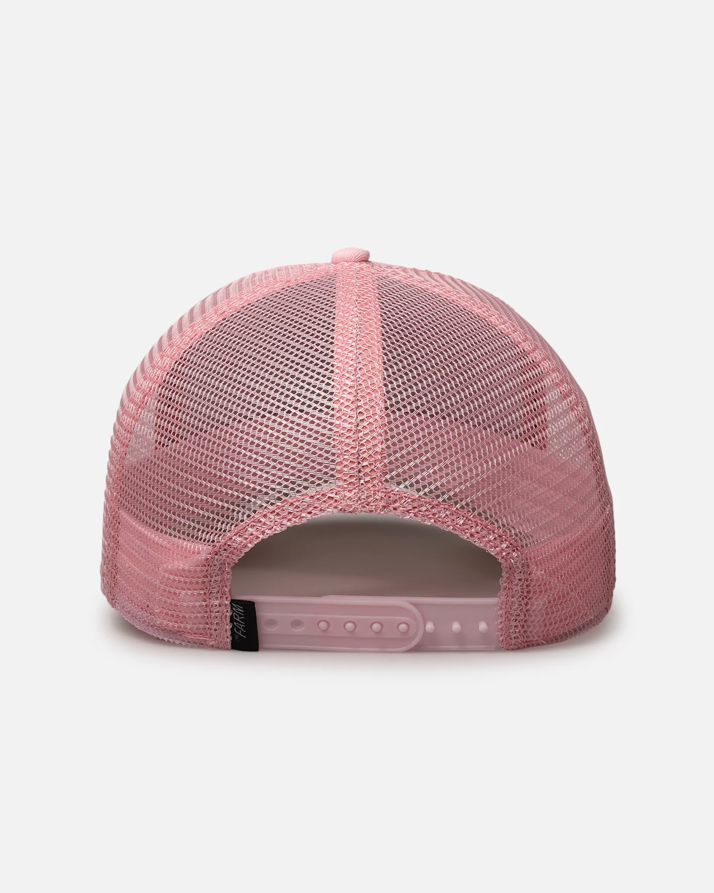 Goorin Bros The Queen Lioness Snapback Pink - Image 2
