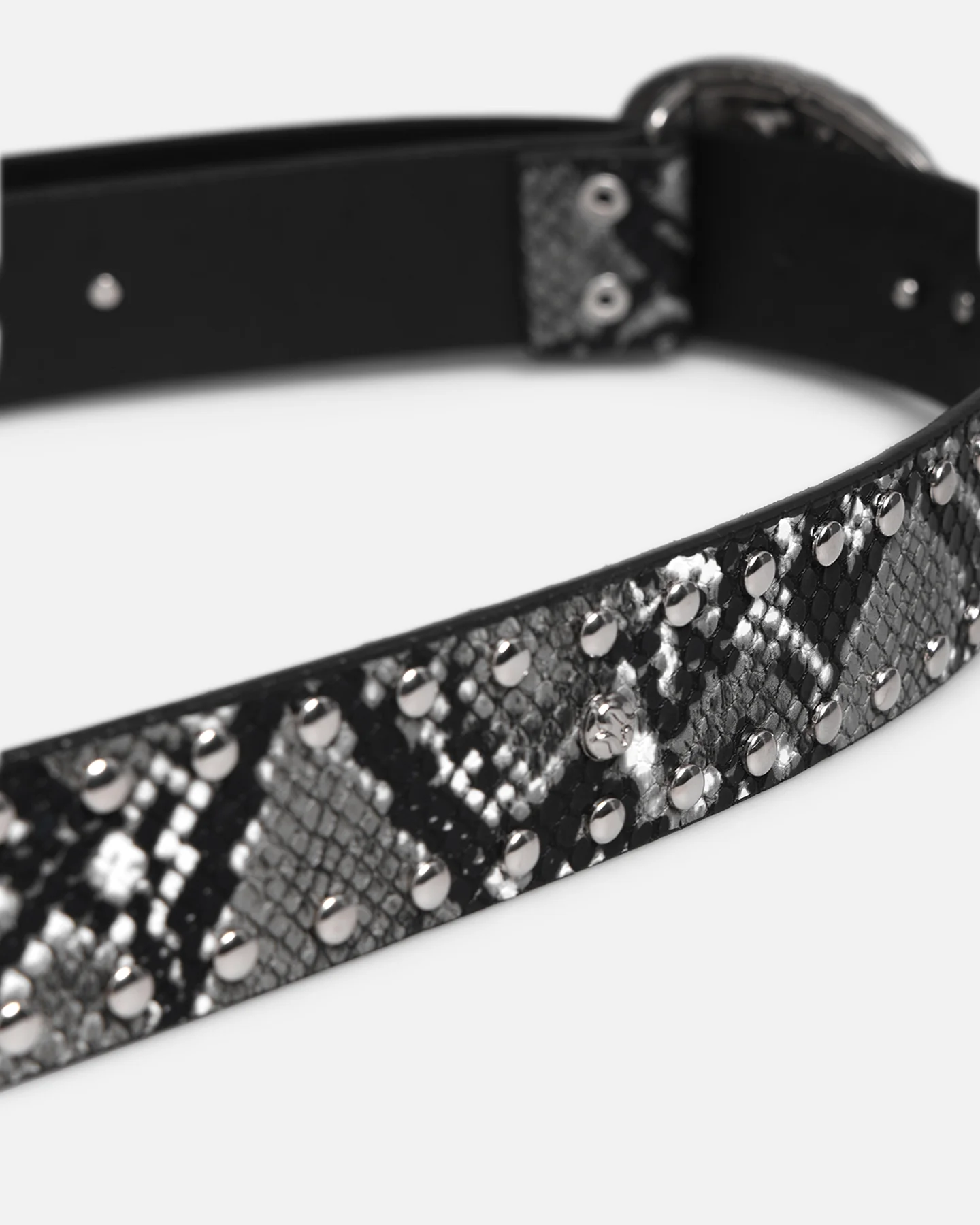 Loiter Holy Fire Belt Black - Image 3