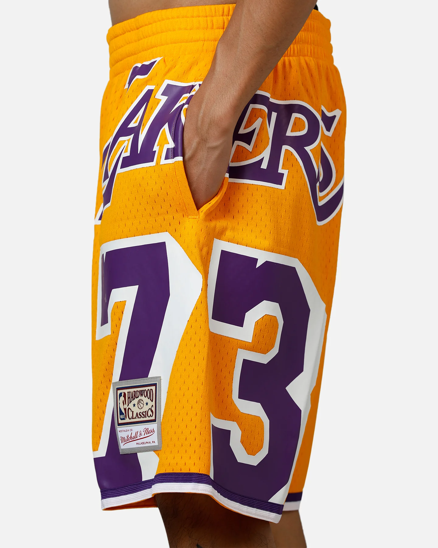 Mitchell & Ness Los Angeles Lakers Dennis Rodman Maxxed Out Shorts Yellow/Purple - Image 8