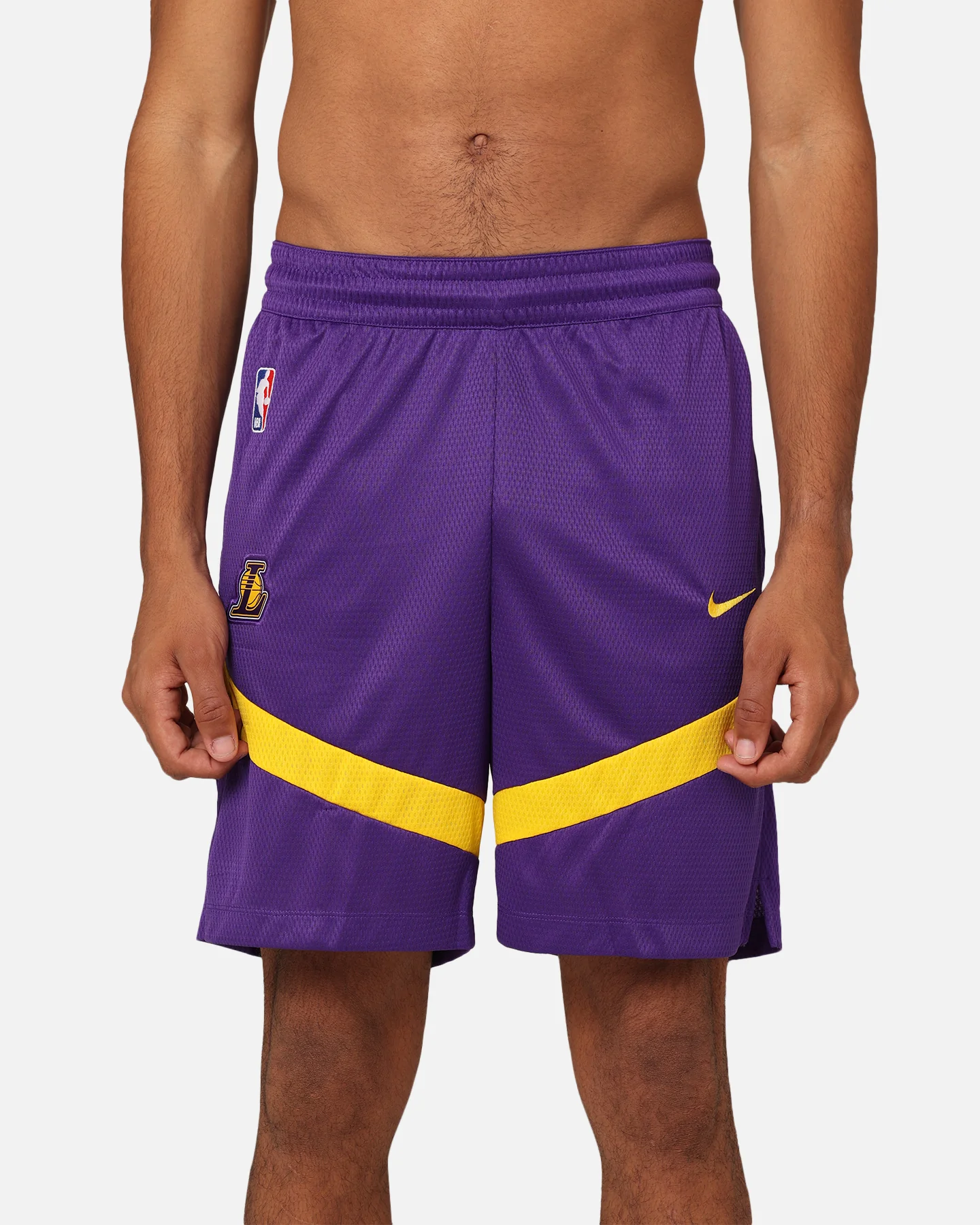 Nike Los Angeles Lakers Dri-FIT Practice Icon+ Shorts Field Purple - Image 7