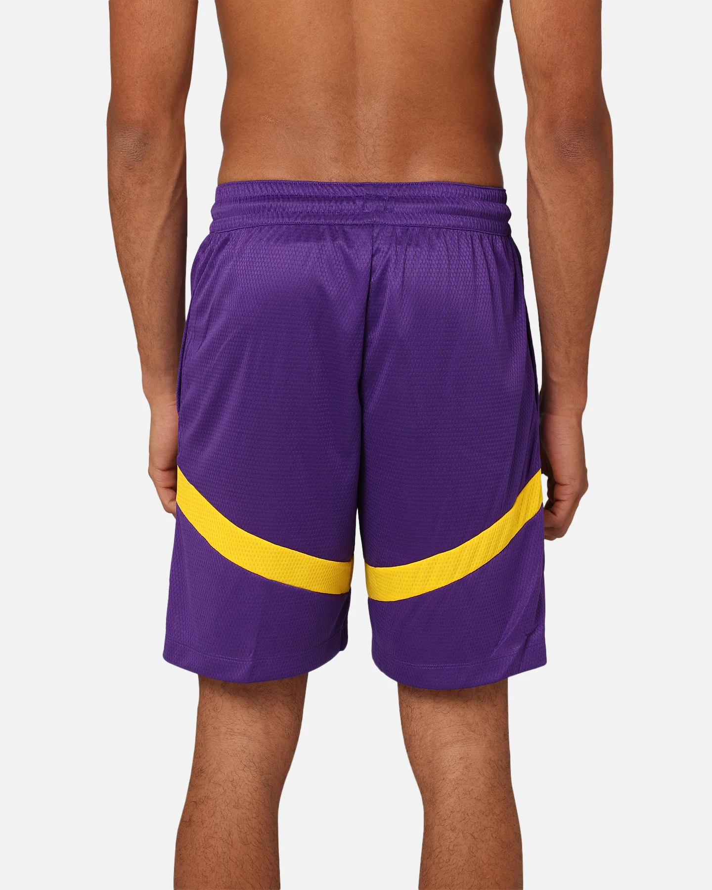 Nike Los Angeles Lakers Dri-FIT Practice Icon+ Shorts Field Purple - Image 8